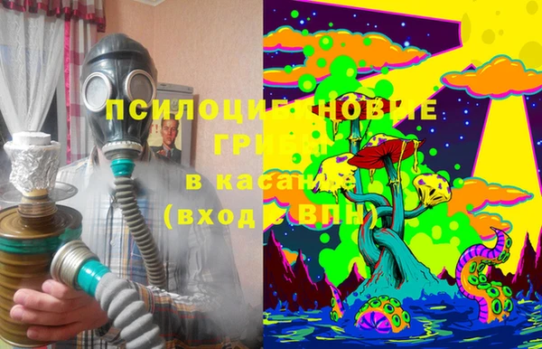 мяу мяу мука Арсеньев